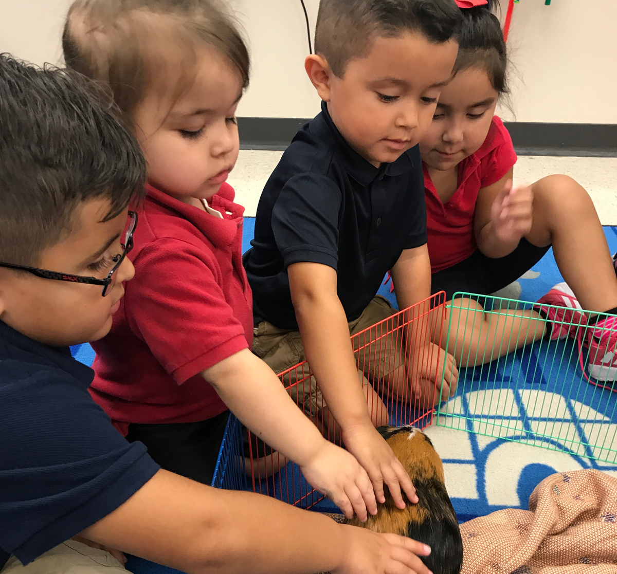 Catholic preschoolers play with guinea pig