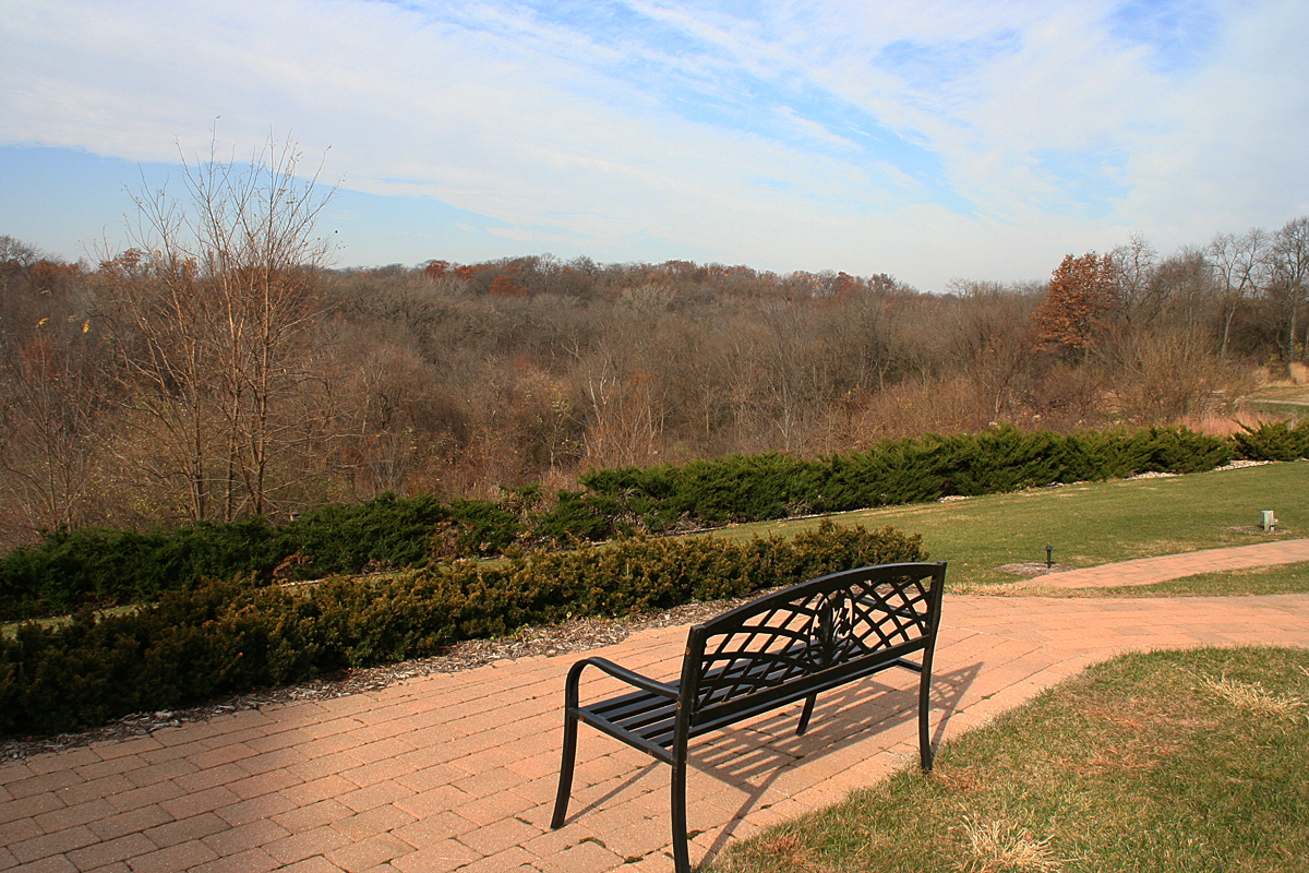 autumn trees and bench