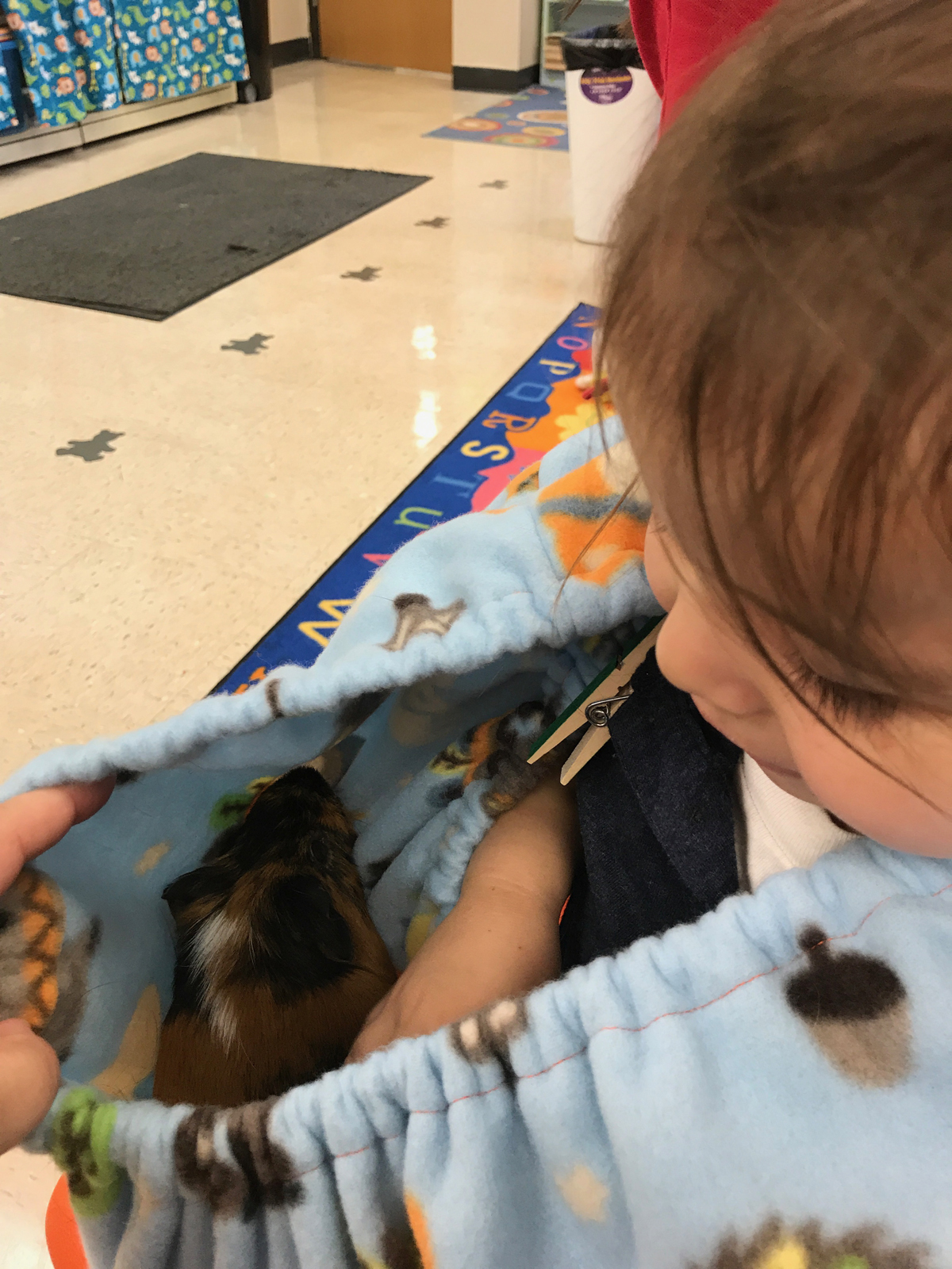 Catholic preschooler holds guinea pig