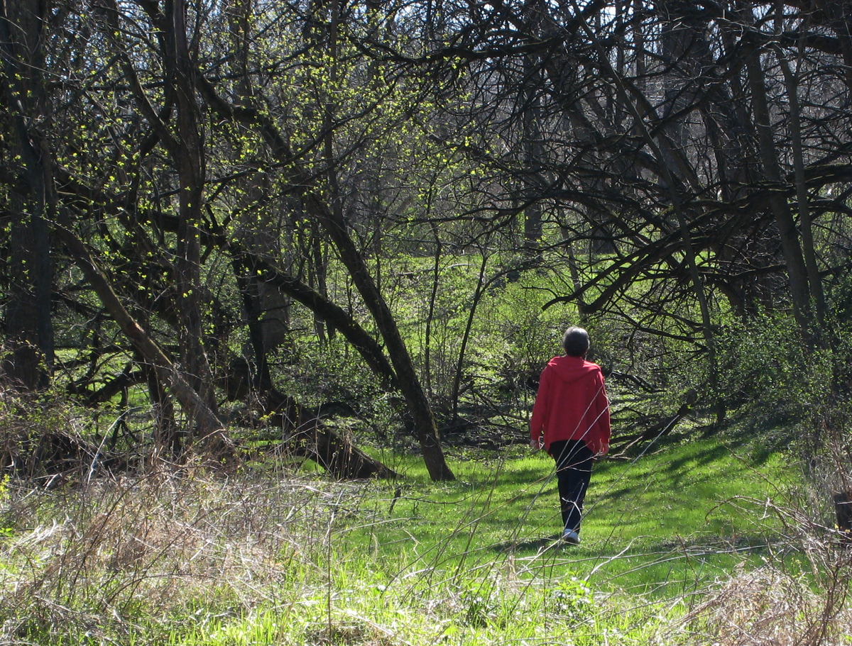 Benedictine Sister Marianne Burkhard walks in the woods